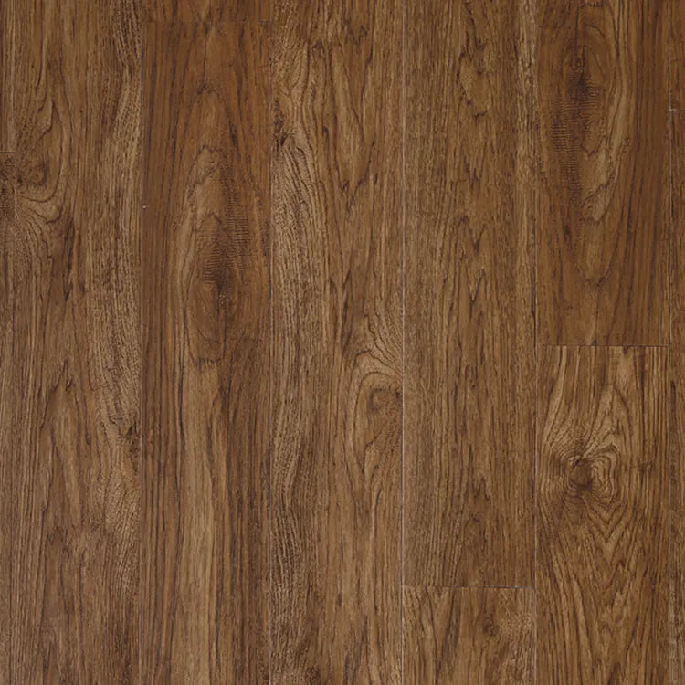 Sundance Color: Saddle Product Number: MAX002