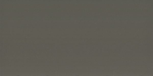 Delos Quartz Countertop