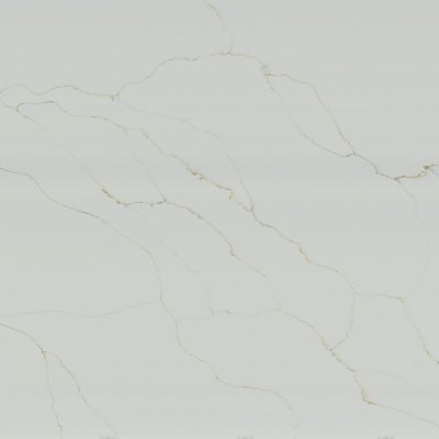 Pegasus Quartz Countertop